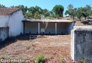 imagem_15