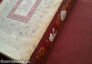 imagem_8