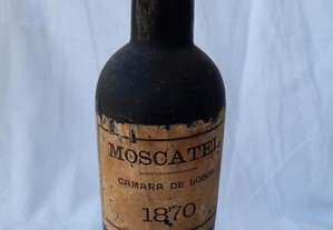 Vinho Madeira "Moscatel 1870"