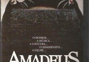 AMADEUS (edição caixa snapper)