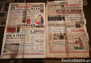 imagem_4
