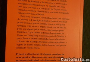 imagem_6