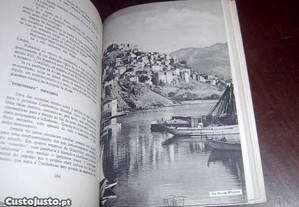 imagem_6