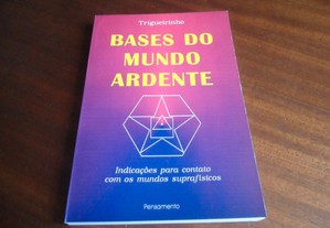 "Bases do Mundo Ardente" de Trigueirinho - 1ª Edição de 1994
