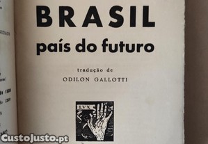 imagem_2