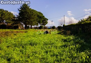 Terreno Com 22.000 M2 Em Frente À A28 Nó De...