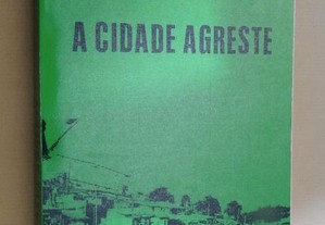 "A Cidade Agreste" de Mário Furtado