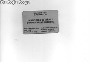 imagem_8