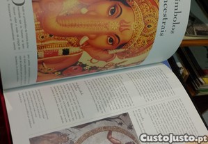 imagem_3