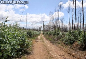 Terreno Rustico Junto À A25