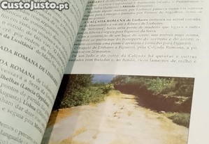imagem_8