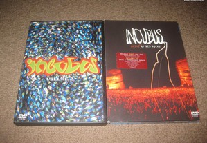 2 DVDs musicais dos "Incubus"