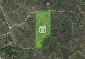Terreno de 122.220m2 (12,22 ha) na Amieira - Alque