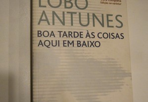 Boa tarde às coisas aqui em baixo - António Lobo Antunes