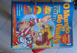 imagem_2