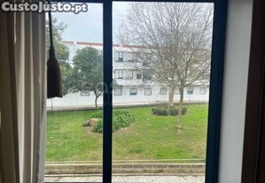 imagem_11