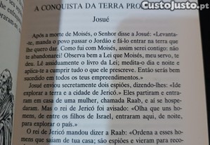 imagem_6