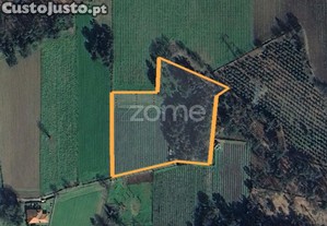 Quinta Agrícola 13300M2 Em Barreiros, Amares