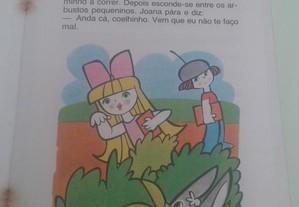 imagem_2