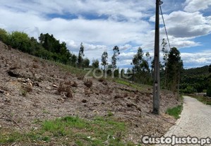 Terreno Para Exploração Florestal E Agrícola -...