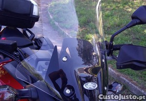 imagem_11