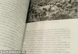 imagem_9