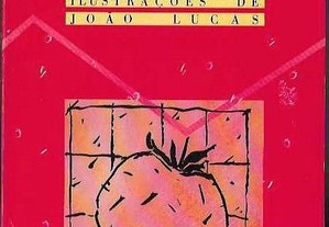 Clara Pinto Correia. Campos de Morangos para Sempre. Ilustrações de João Lucas.