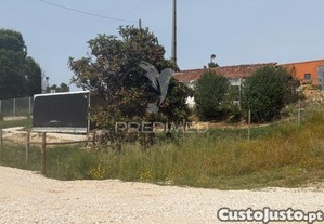 imagem_12
