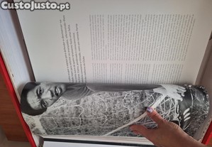 imagem_8