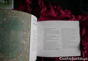 imagem_8