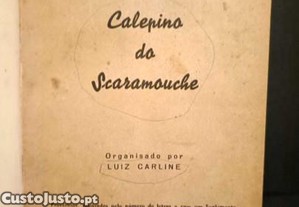 imagem_2