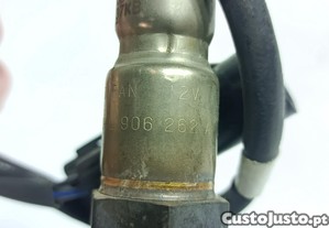 imagem_4