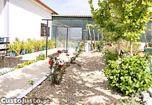 imagem_30