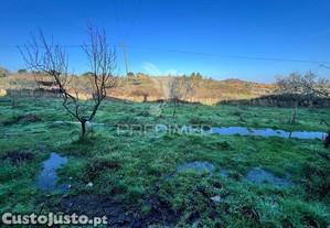 imagem_25