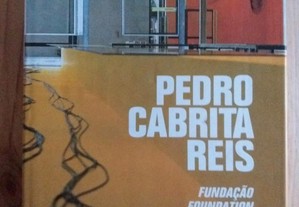 Titulo: Pedro Cabrita Reis - Fundação