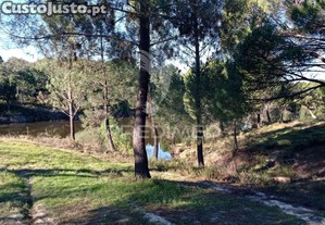 imagem_29