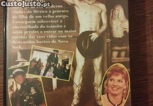 imagem_3