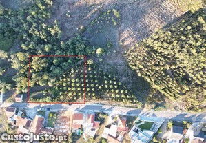 Terreno para construção em Pelariga