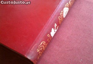 imagem_7
