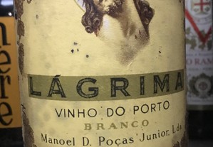 imagem_2