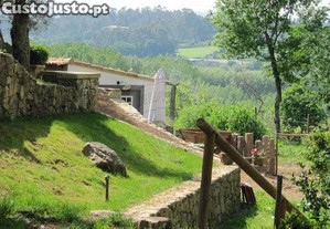 imagem_10