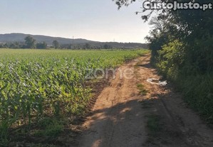 Terreno Agrícola Com 3.600 M2 Em Fradelos...