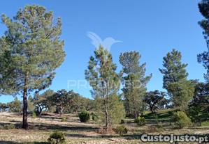 imagem_32