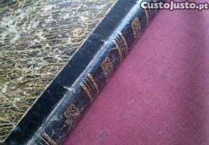 imagem_7