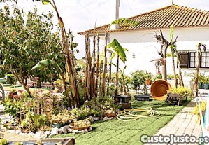 imagem_29