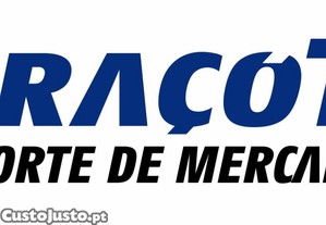 Motorista de Pesados