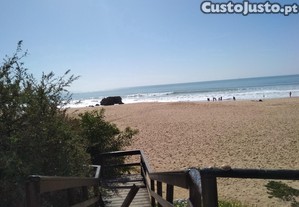 imagem_12