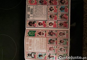 imagem_5
