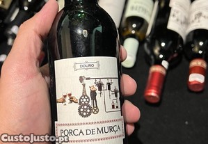 Coleção Particular de Vinhos 60 garrafas