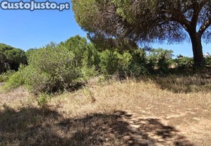 imagem_10